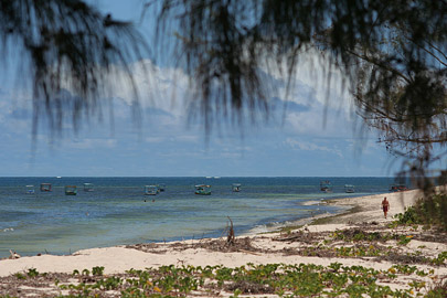 Fotoalbum von Malindi.info - Malindi Marine Park 2008  [ Foto 37 von 63 ]