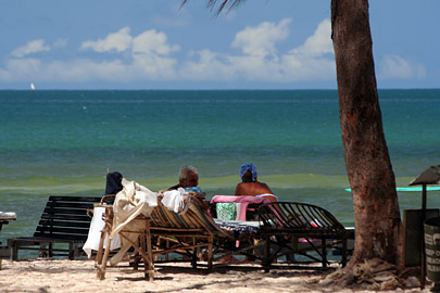 Fotoalbum von Malindi.info - Malindi Marine Park 2008  [ Foto 41 von 63 ]