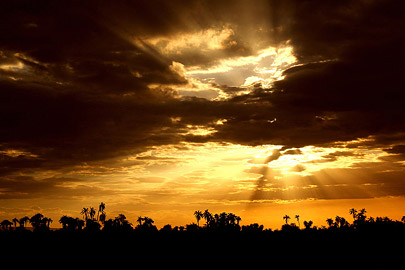 Fotoalbum von Malindi.info - Safari Tsavo/East und Amboseli Dezember 2012  [ Foto 115 von 145 ]